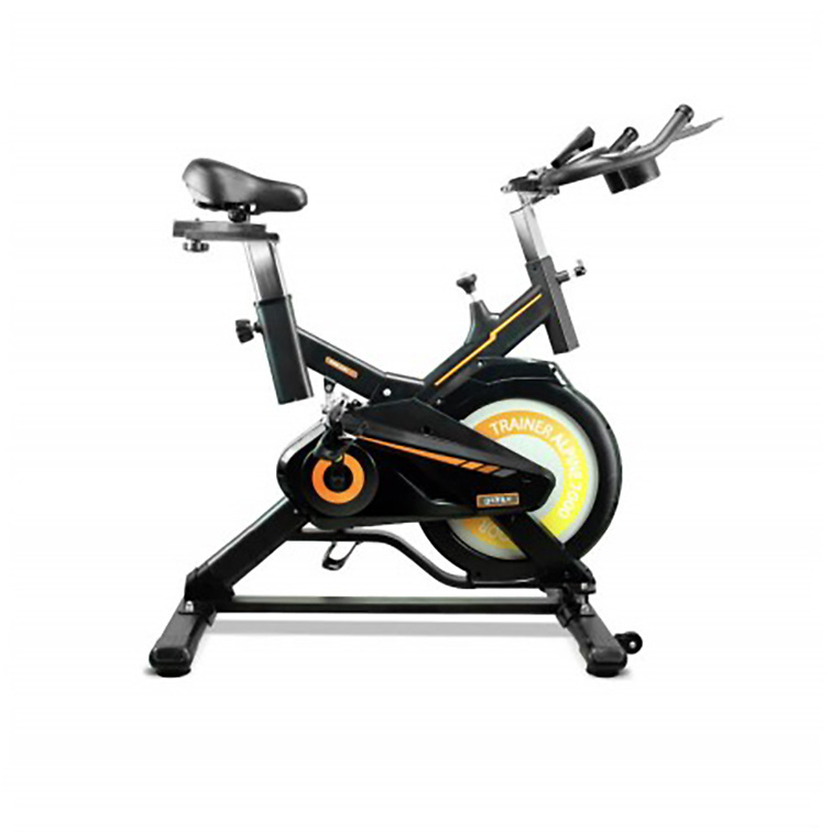 SPINNING BIKE TRAINER ALPINE 8000.