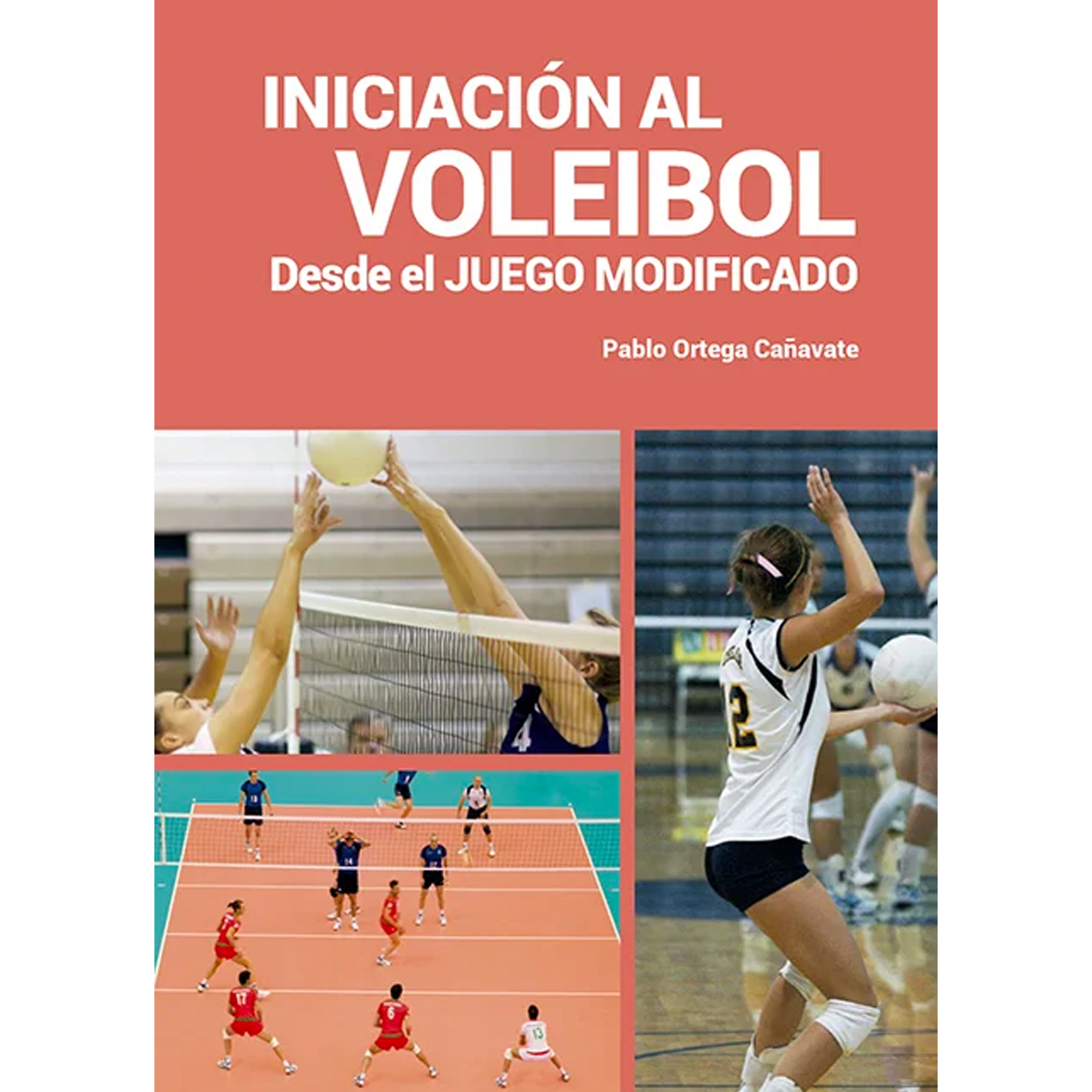 INTRODUCTION TO VOLLEYBALL FROM THE MODIFIED GAME (SPANISH).