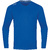 LONGSLEEVE JAKO RUN 2.0, ROYAL MEN.