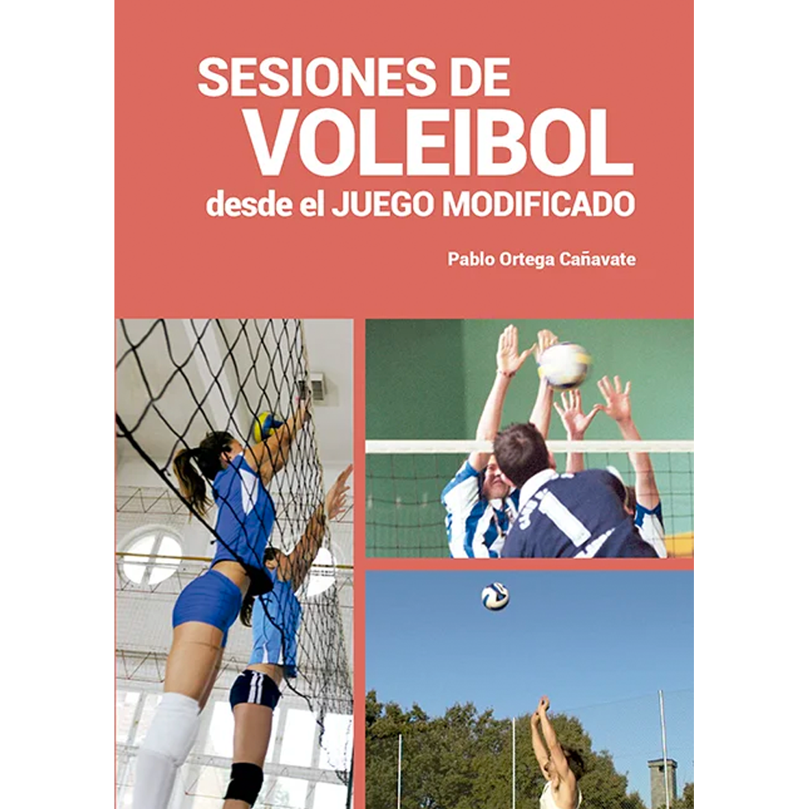 VOLLEYBALL SESSIONS FROM THE MODIFIED GAME (SPANISH).